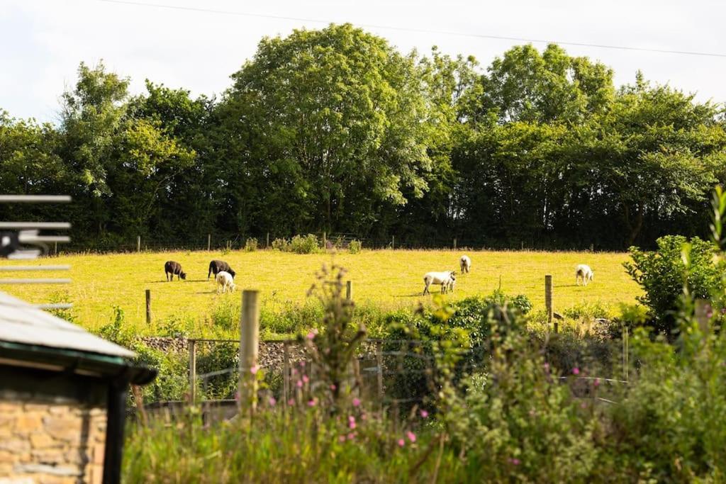 Cornwall The Old Piggery * Liskeard